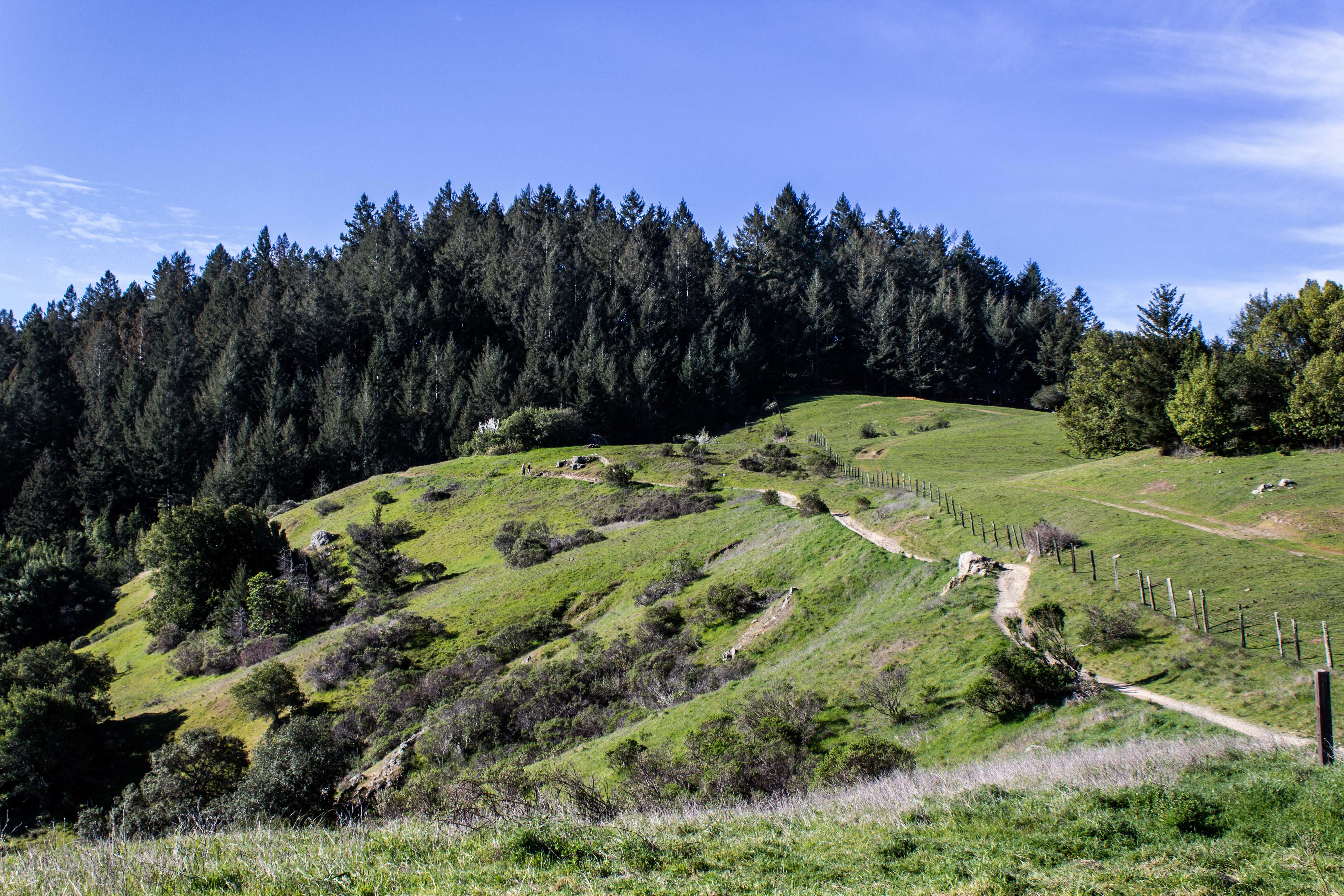A ToeStubber at San Geronimo Ridge on the Ridge Trail Coastside Slacking
