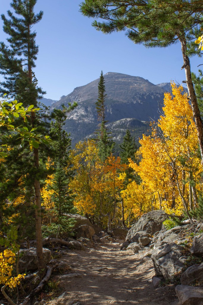 Fall Color on the Trail at Rocky Mountain National Park - Coastside ...